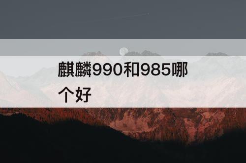 麒麟990和985哪个好