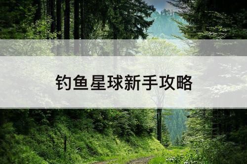 钓鱼星球新手攻略