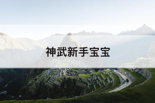 神武新手宝宝