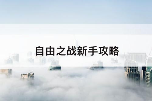 自由之战新手攻略