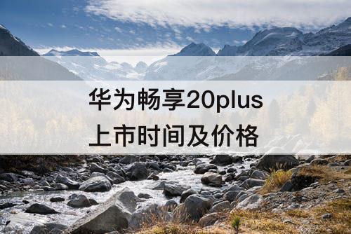 华为畅享20plus上市时间及价格