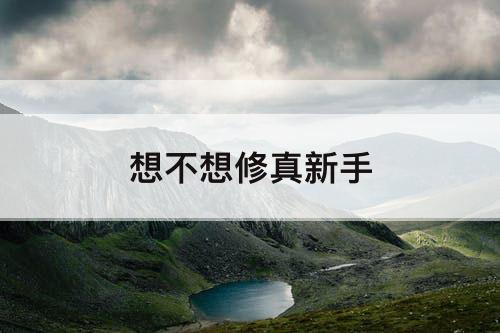 想不想修真新手