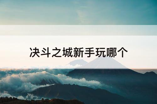 决斗之城新手玩哪个