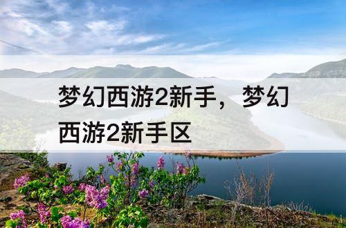 梦幻西游2新手，梦幻西游2新手区