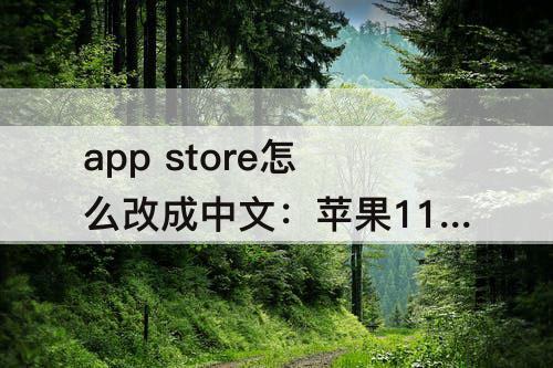 app store怎么改成中文：苹果11app store怎么改成中文