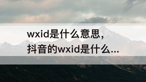 wxid是什么意思，抖音的wxid是什么意思