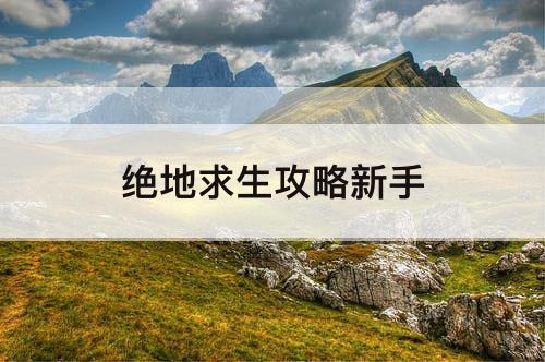 绝地求生攻略新手
