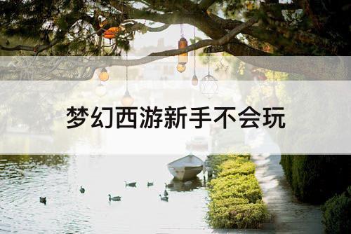 梦幻西游新手不会玩