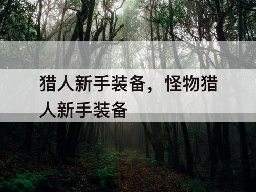 猎人新手装备，怪物猎人新手装备