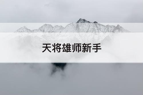 天将雄师新手