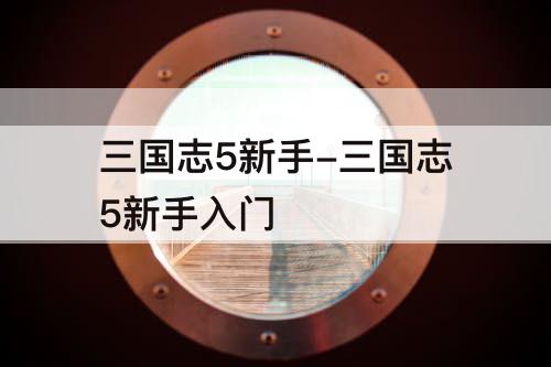 三国志5新手-三国志5新手入门