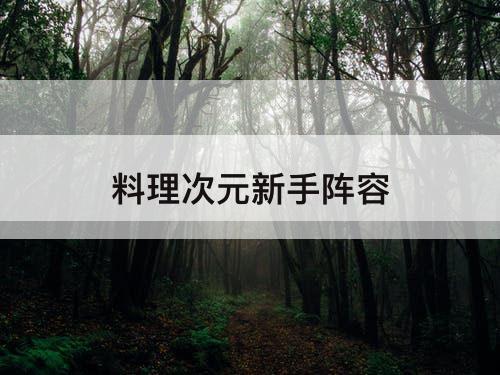 料理次元新手阵容