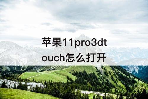 苹果11pro3dtouch怎么打开