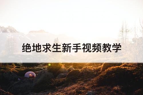 绝地求生新手视频教学
