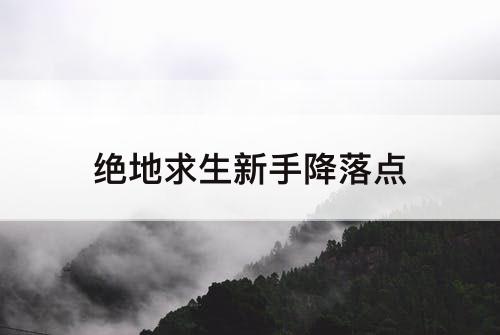 绝地求生新手降落点
