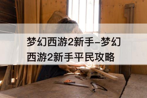 梦幻西游2新手-梦幻西游2新手平民攻略
