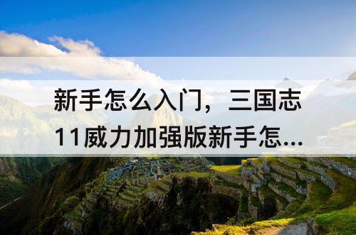 新手怎么入门，三国志11威力加强版新手怎么入门