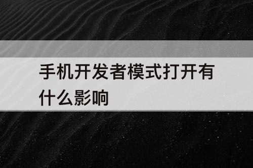 手机开发者模式打开有什么影响
