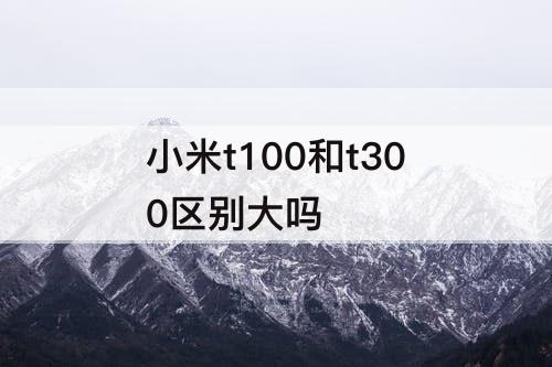小米t100和t300区别大吗