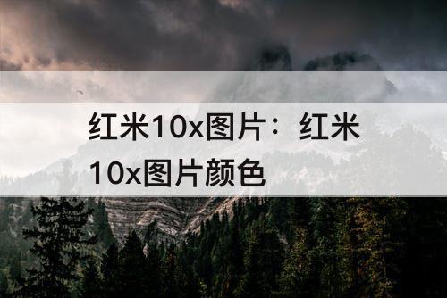 红米10x图片：红米10x图片颜色