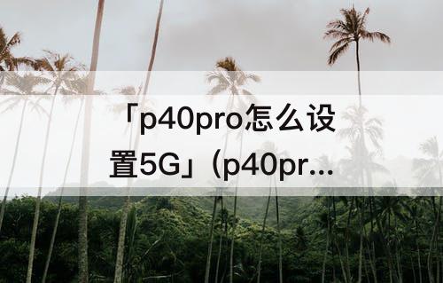 「p40pro怎么设置5G」(p40pro怎么设置5G增加页面)