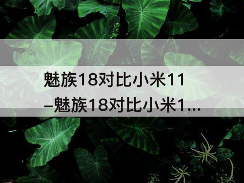 魅族18对比小米11-魅族18对比小米11pro优势劣势