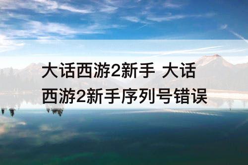 大话西游2新手 大话西游2新手序列号错误