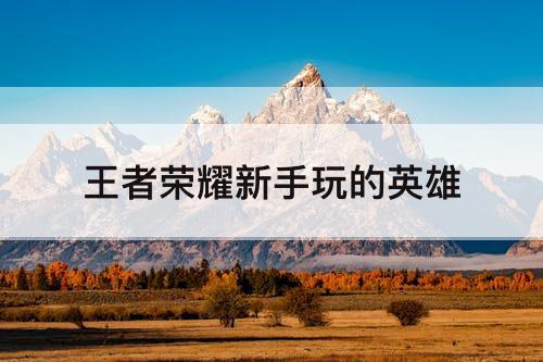 王者荣耀新手玩的英雄