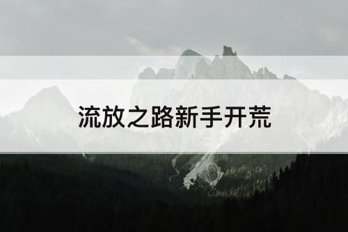 流放之路新手开荒