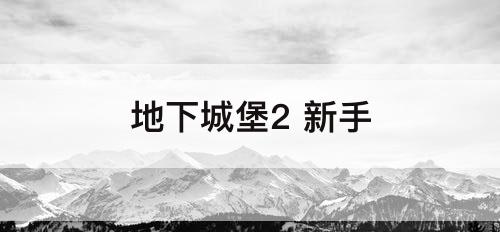 地下城堡2 新手
