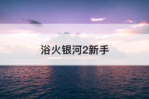 浴火银河2新手