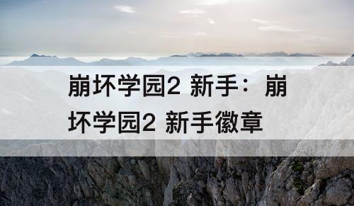 崩坏学园2 新手：崩坏学园2 新手徽章