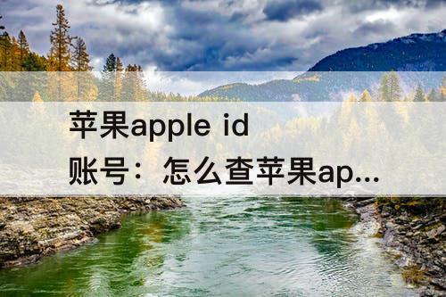 苹果apple id账号：怎么查苹果apple id账号