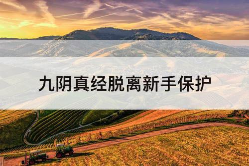 九阴真经脱离新手保护