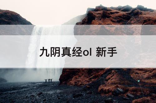 九阴真经ol 新手