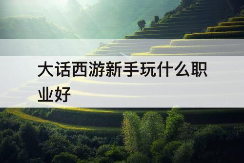 大话西游新手玩什么职业好