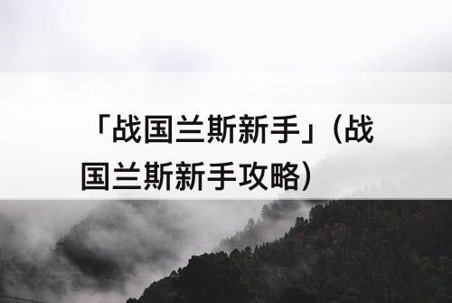 「战国兰斯新手」(战国兰斯新手攻略)