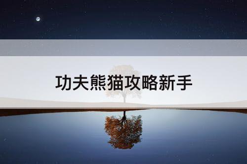 功夫熊猫攻略新手