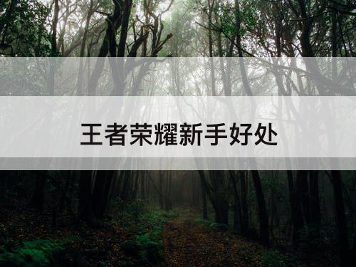 王者荣耀新手好处