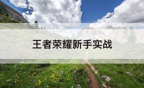 王者荣耀新手实战
