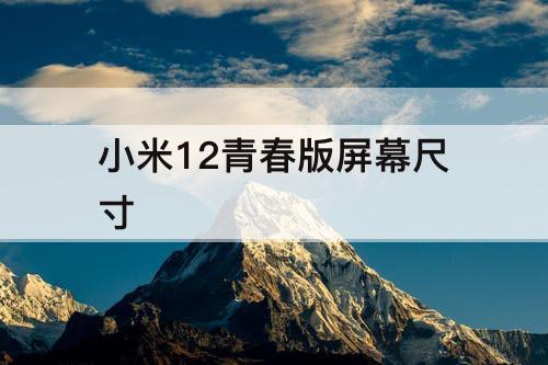 小米12青春版屏幕尺寸