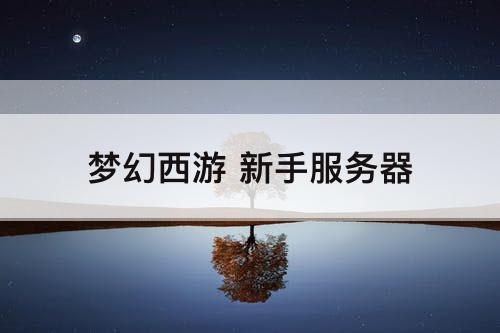 梦幻西游 新手服务器