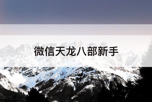 微信天龙八部新手