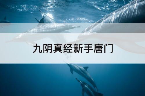 九阴真经新手唐门