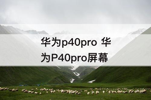 华为p40pro 华为P40pro屏幕
