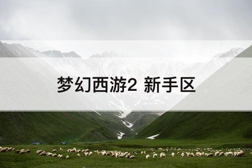 梦幻西游2 新手区