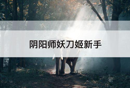 阴阳师妖刀姬新手