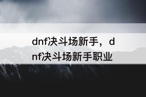 dnf决斗场新手，dnf决斗场新手职业
