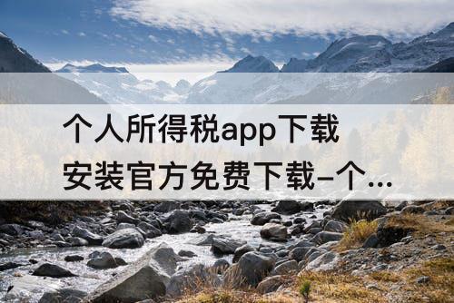 个人所得税app下载安装官方免费下载-个人所得税app下载安装官方免费下载苹果版