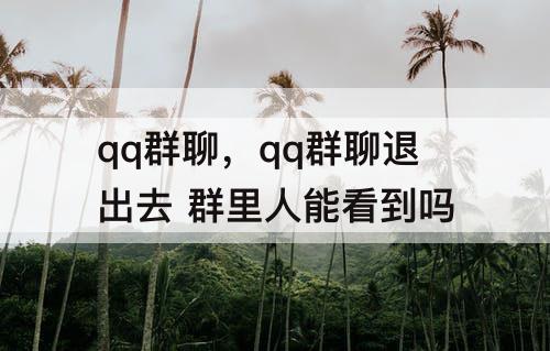 qq群聊，qq群聊退出去 群里人能看到吗
